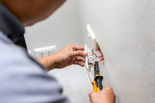 Best Electric Panel Repair  in Obion, TN